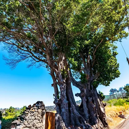 Nyaraló Quinta Do Til *