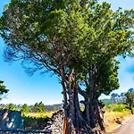 Quinta Do Til * Prazeres