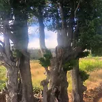 Prázdninový dům Quinta Do Til Prazeres