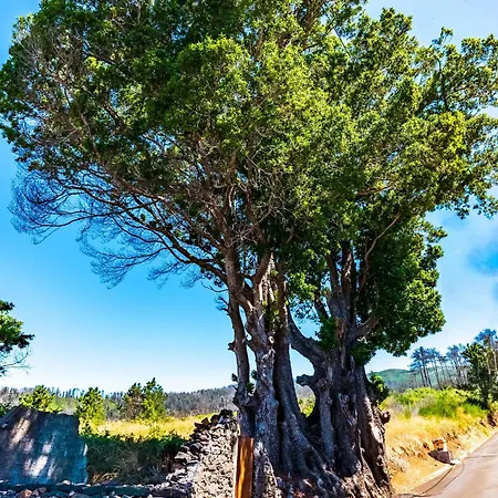 Quinta Do Til * Празерс