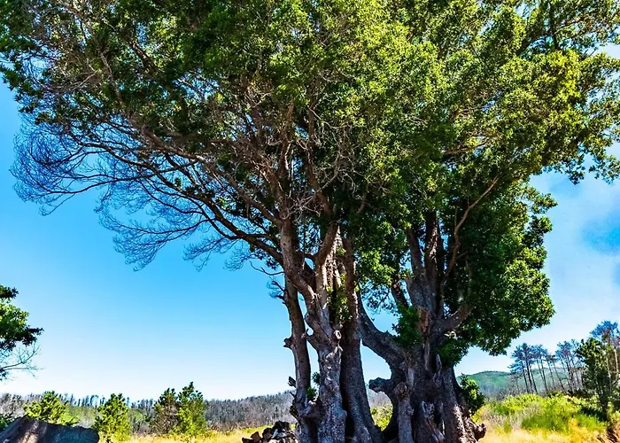 Quinta Do Til * プラゼーレス