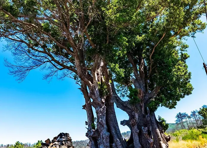 別荘 Quinta Do Til *